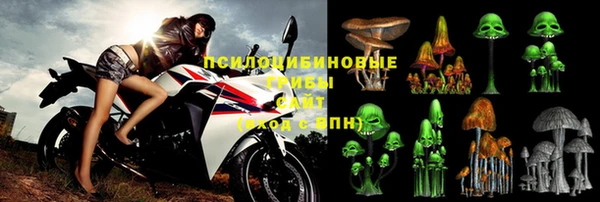 стафф Алзамай