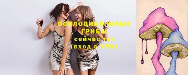 стафф Алзамай